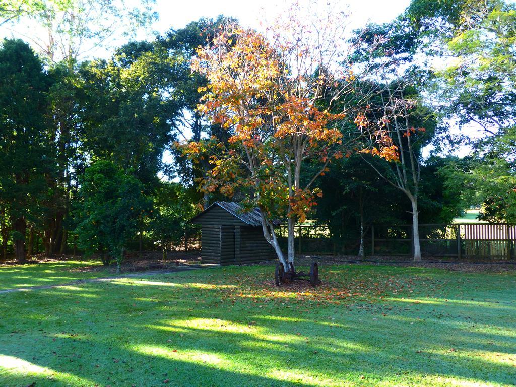 Mccarthy Lake House Maleny Ruang foto