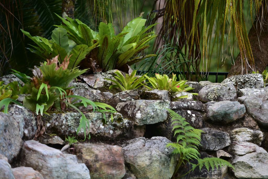 Mccarthy Lake House Maleny Bagian luar foto