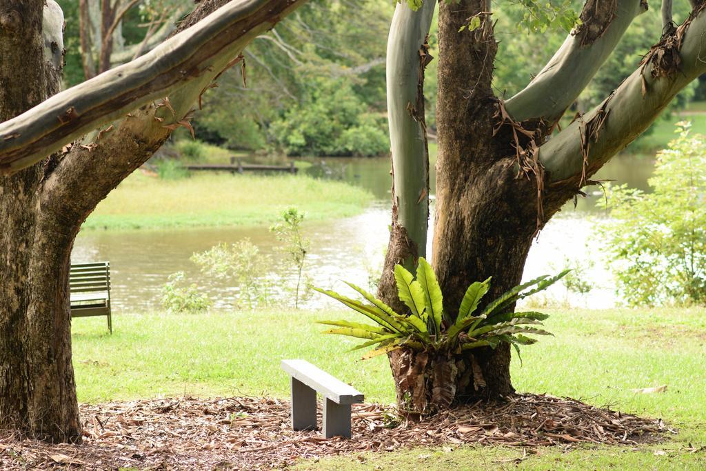 Mccarthy Lake House Maleny Bagian luar foto